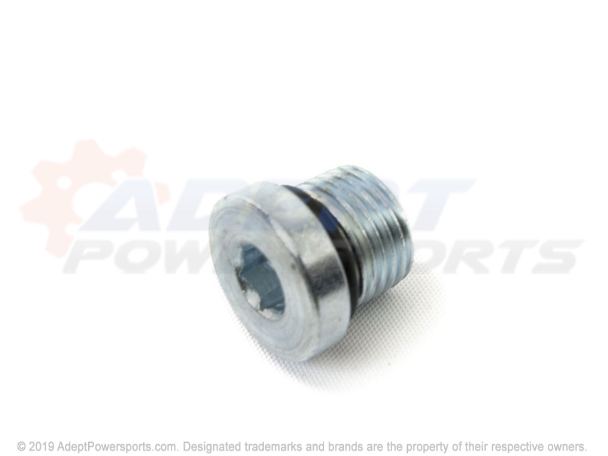 Polaris 2203739 Plug, Fill