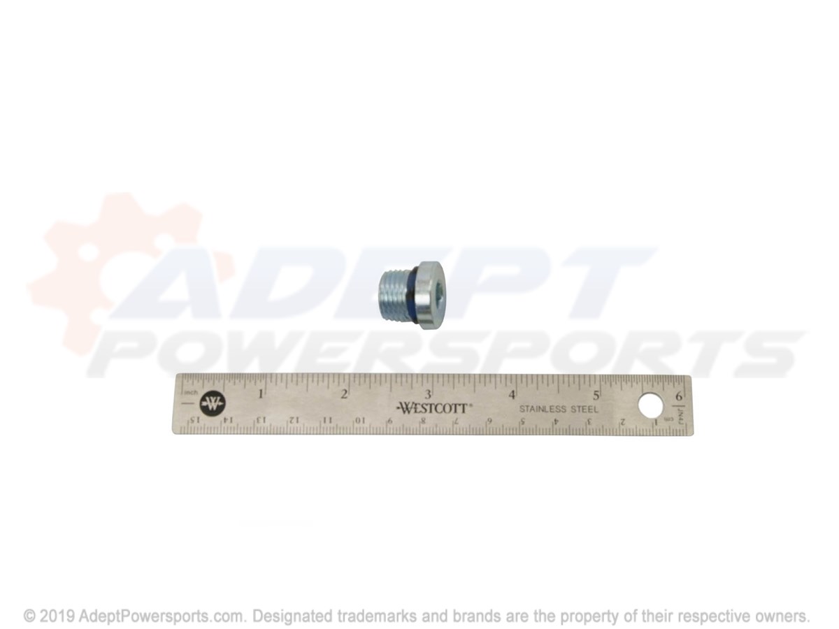 Polaris 2203739 Plug, Fill