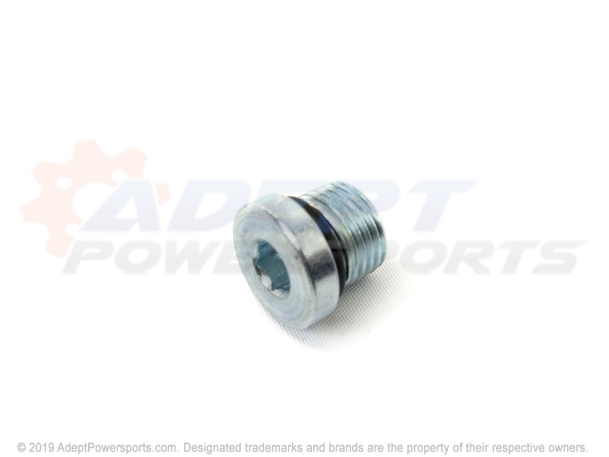 Polaris 2203739 Plug, Fill