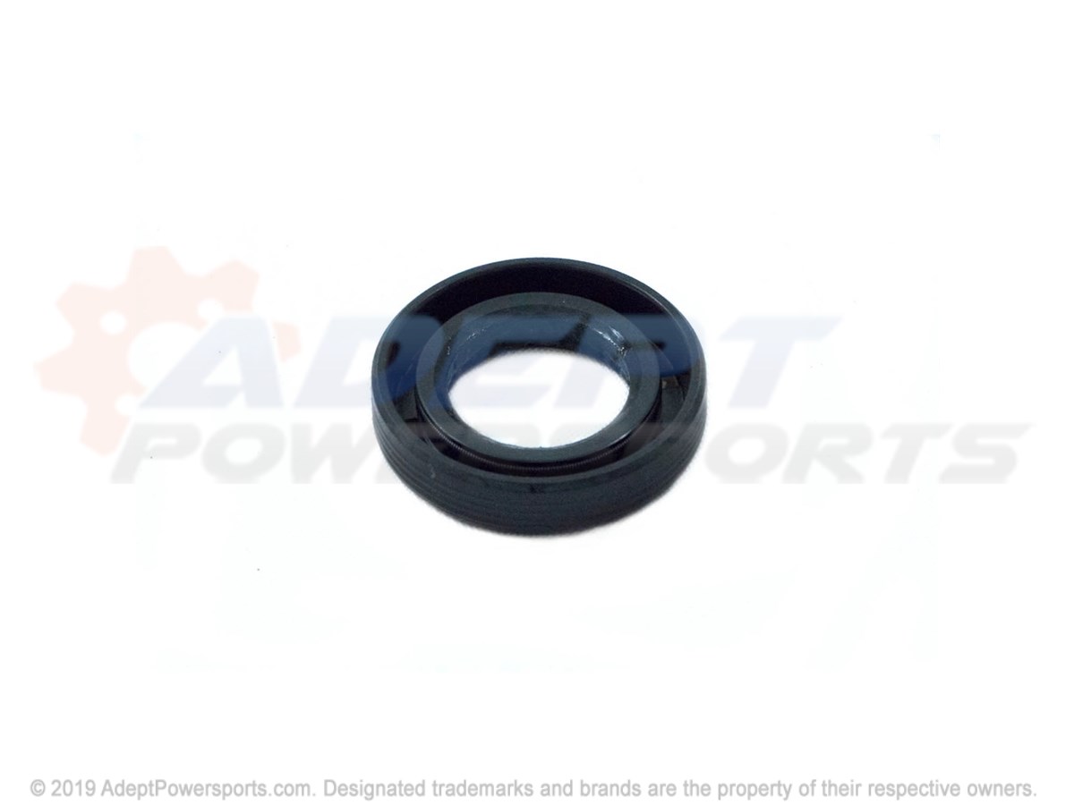 Polaris 3234493 Seal, Oil