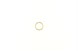 Polaris 7670161 Ring, Retaining
