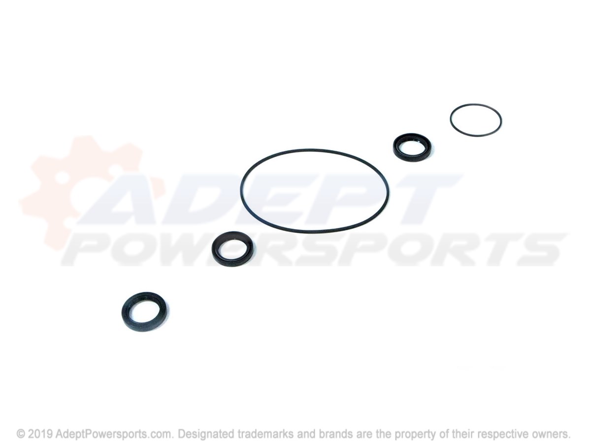 Polaris 3234386 Kit, Seal, Repair