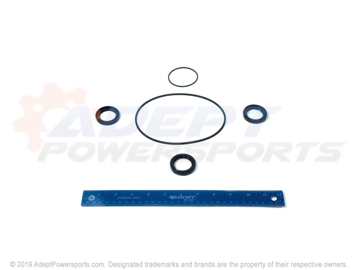 Polaris 3234386 Kit, Seal, Repair