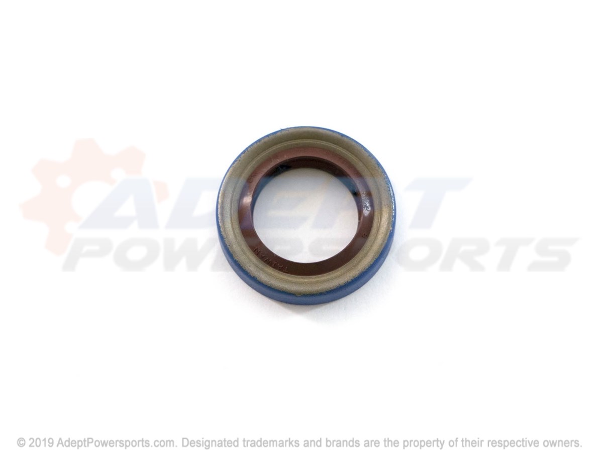 Polaris 3234322 Seal, Triple, Lip