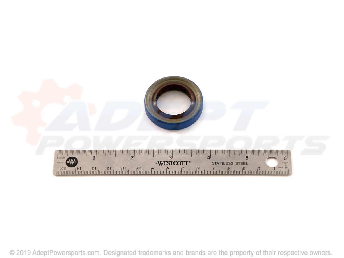 Polaris 3234322 Seal, Triple, Lip