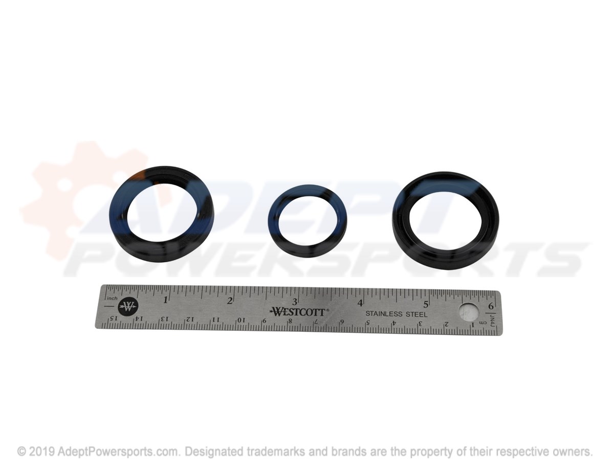 Polaris 3234406 Kit, Seal, Repair
