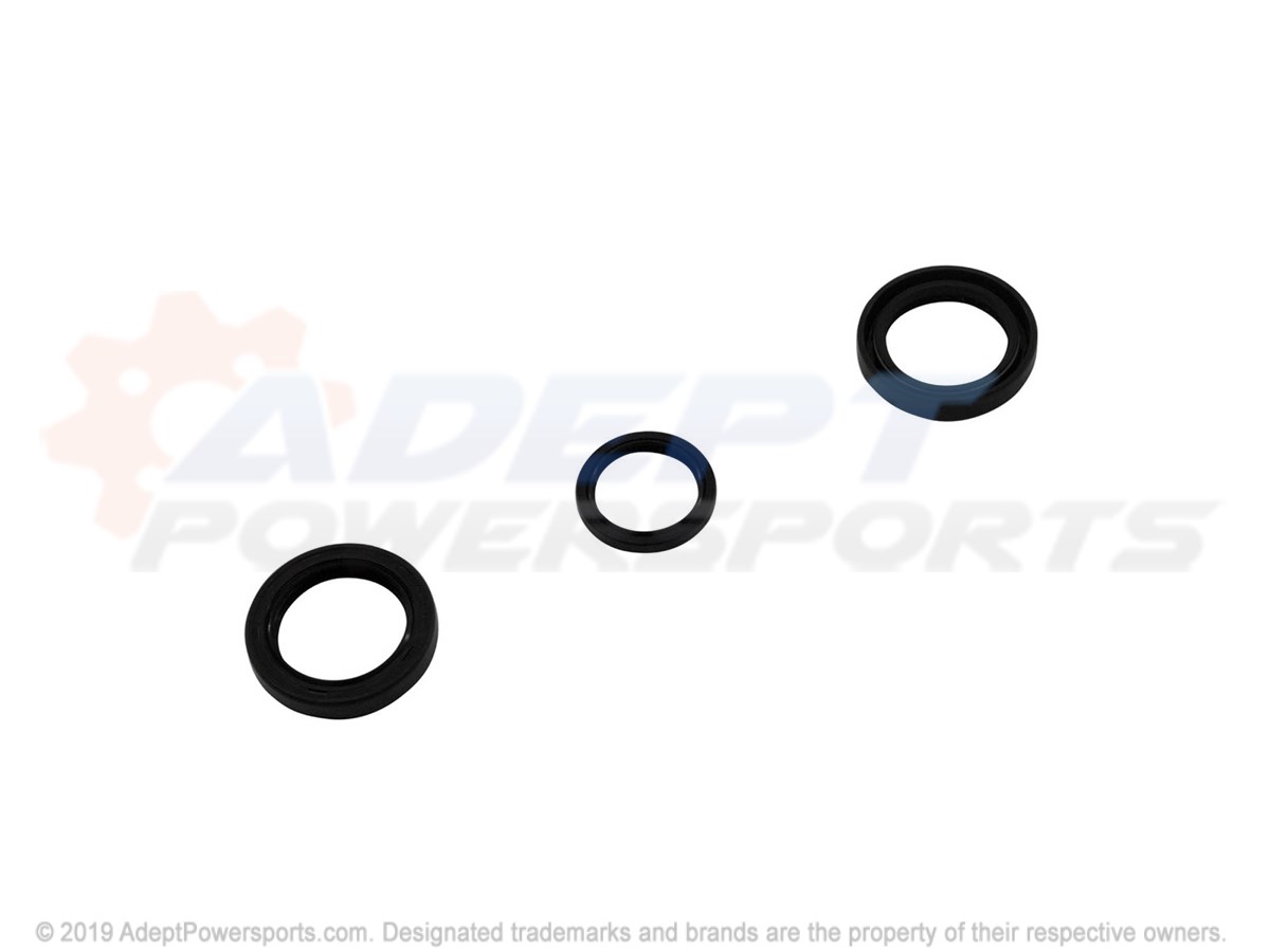 Polaris 3234406 Kit, Seal, Repair