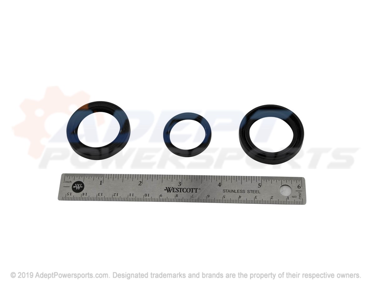Polaris 3234406 Kit, Seal, Repair