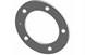 Polaris 5810858 Gasket