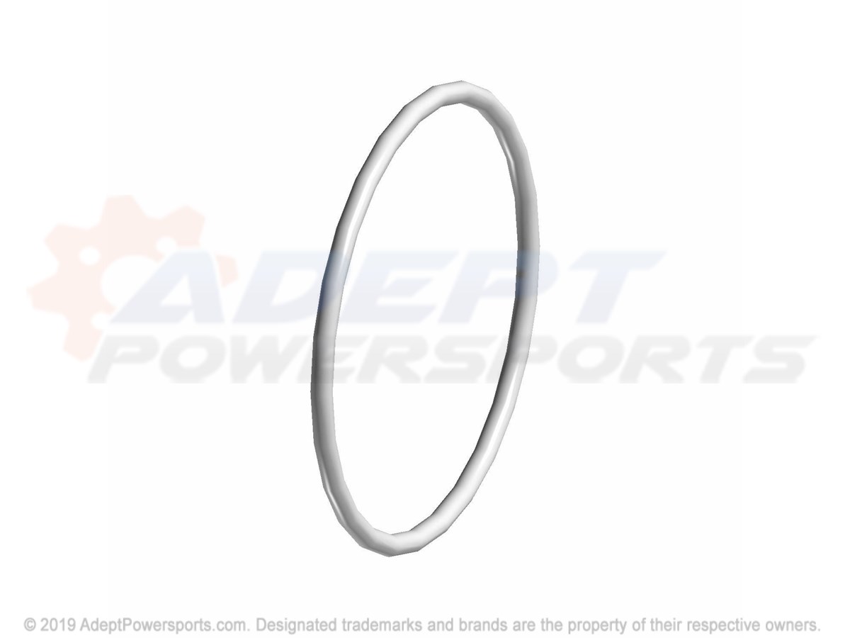 Polaris 5411739 O-Ring-1.362 Id X .070