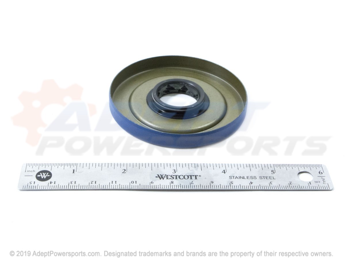 Polaris 3234113 Triple, Lip, Seal, 25, X, 80, X, 10