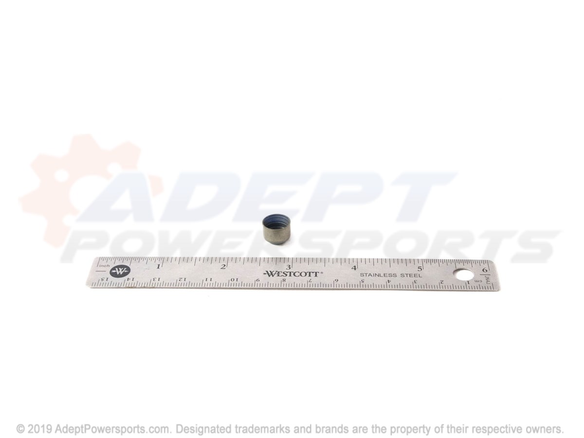 Polaris 3087947 Seal, Intake, Valve