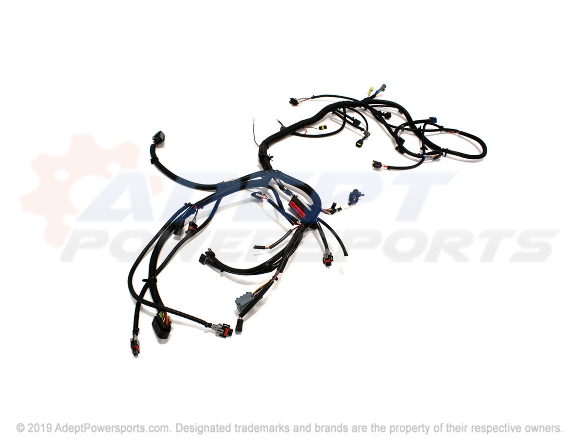 Polaris 2410961 Harness, Main
