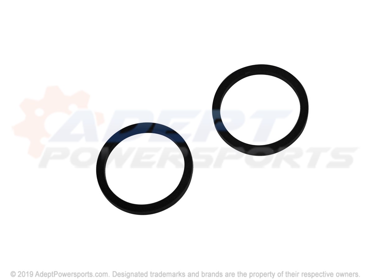 Polaris 2203048 Kit, Seals