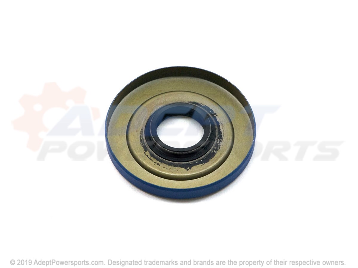 Polaris 3234003 Seal, Triple, Lip