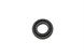 Polaris 3610101 Seal, Oil, Shaft