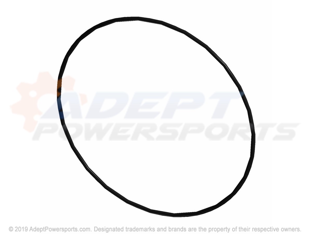 Polaris 5411862 Seal