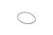 Polaris 5812359 O-Ring