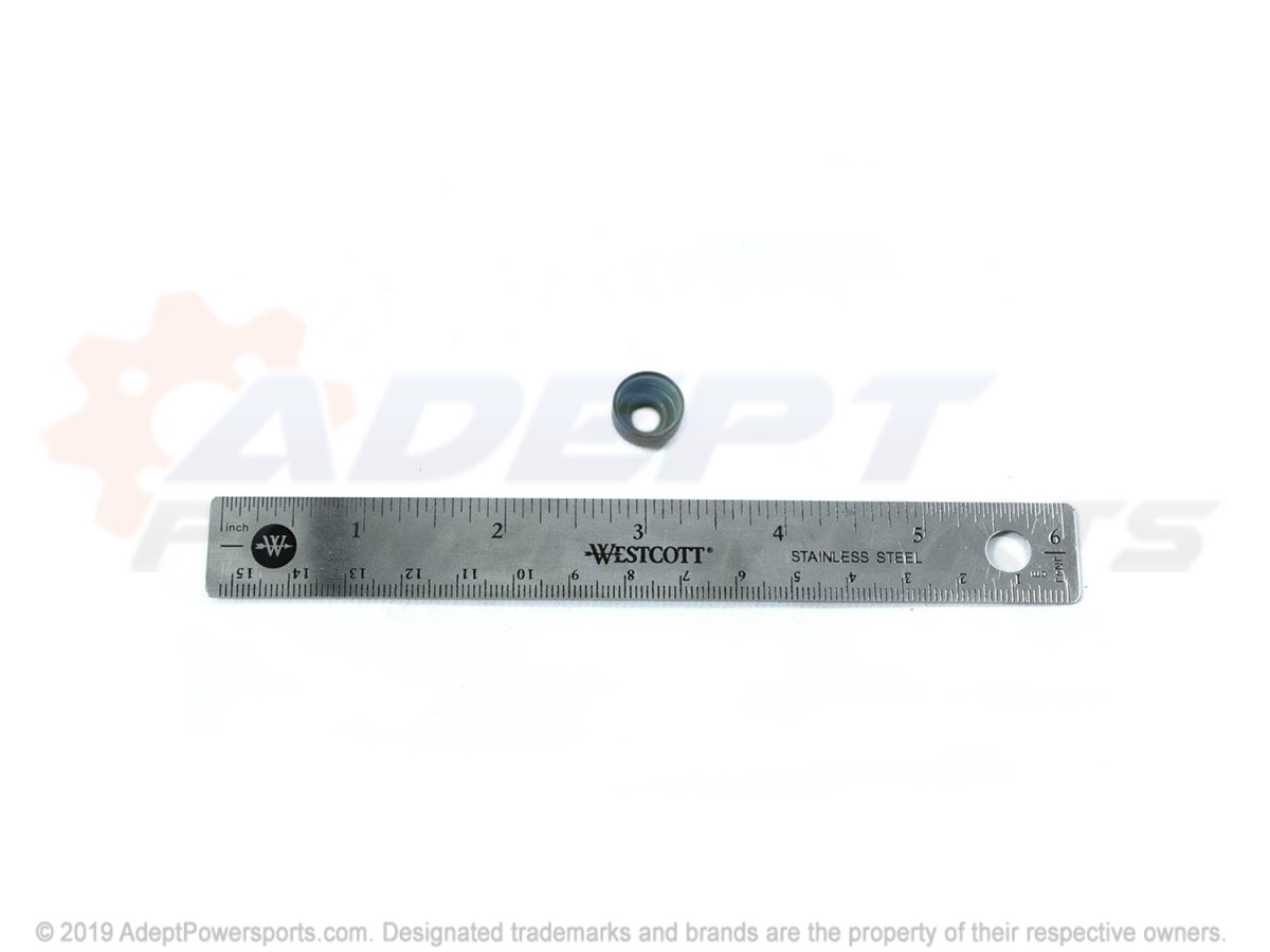 Polaris 3090098 Seal, Exhaust, Valve
