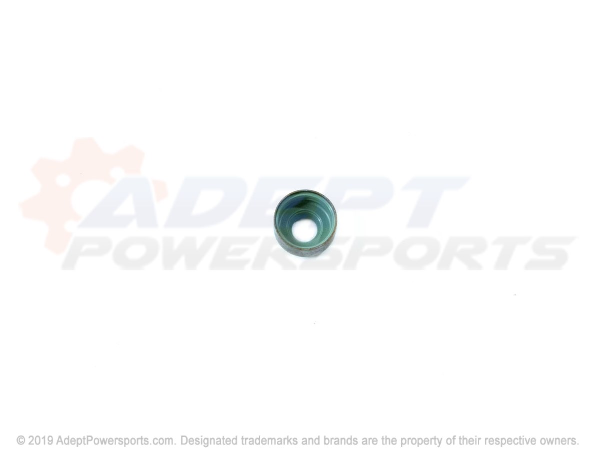 Polaris 3090098 Seal, Exhaust, Valve