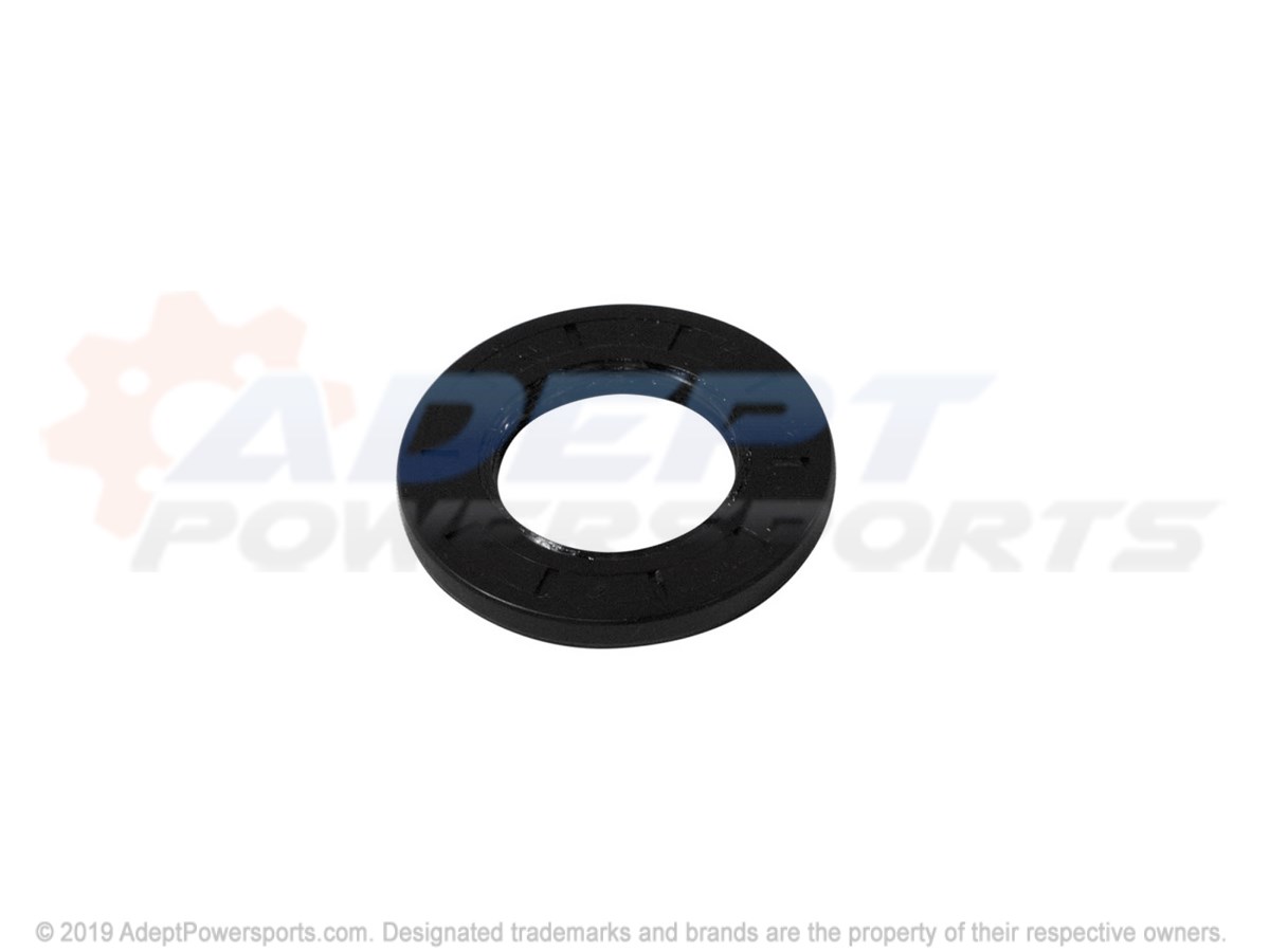 Polaris 3234793 Seal, Triple, Lip