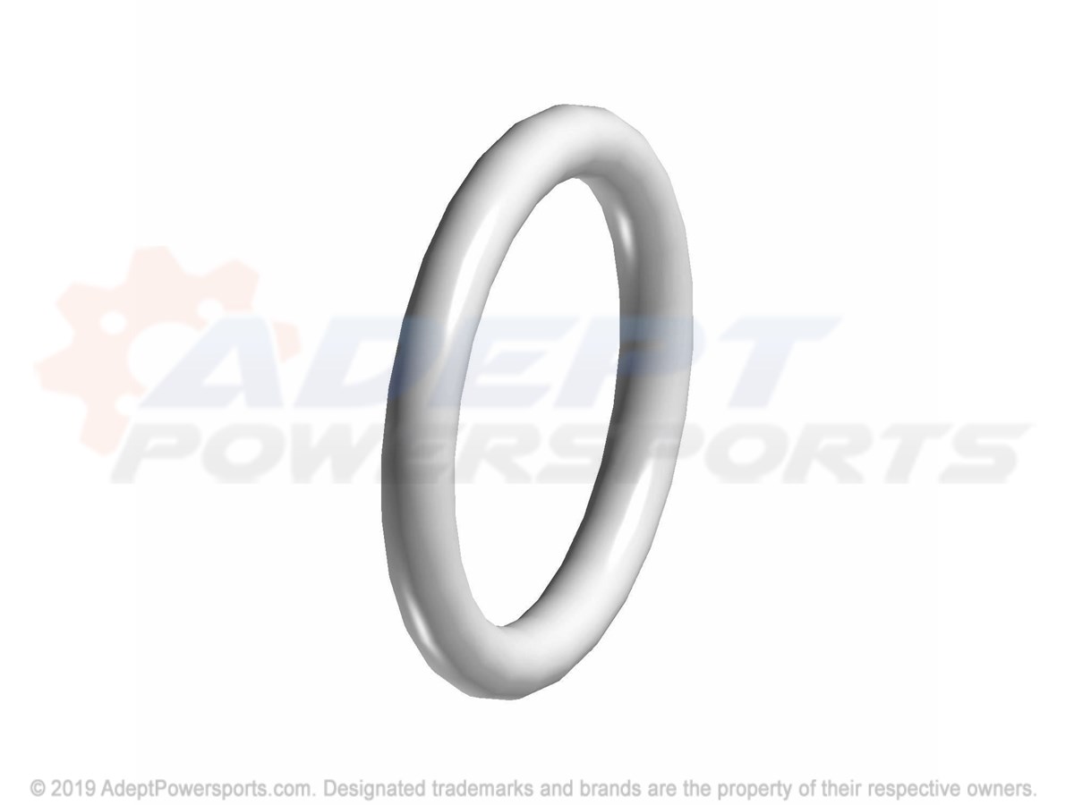 Polaris 5411965 O-Ring