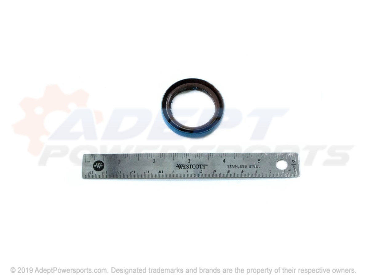 Polaris 3234739 Seal, Triple, Lip