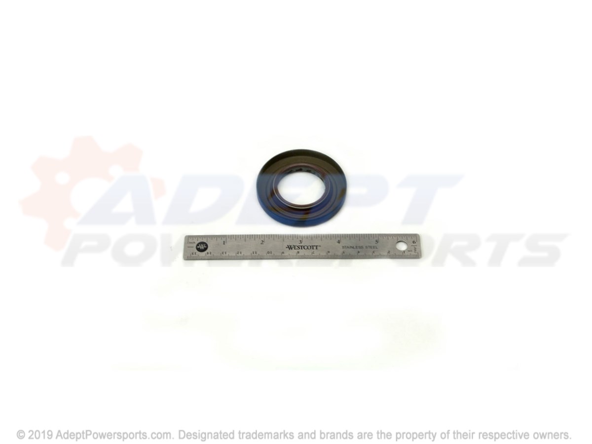 Polaris 3234769 Seal, Triple, Lip