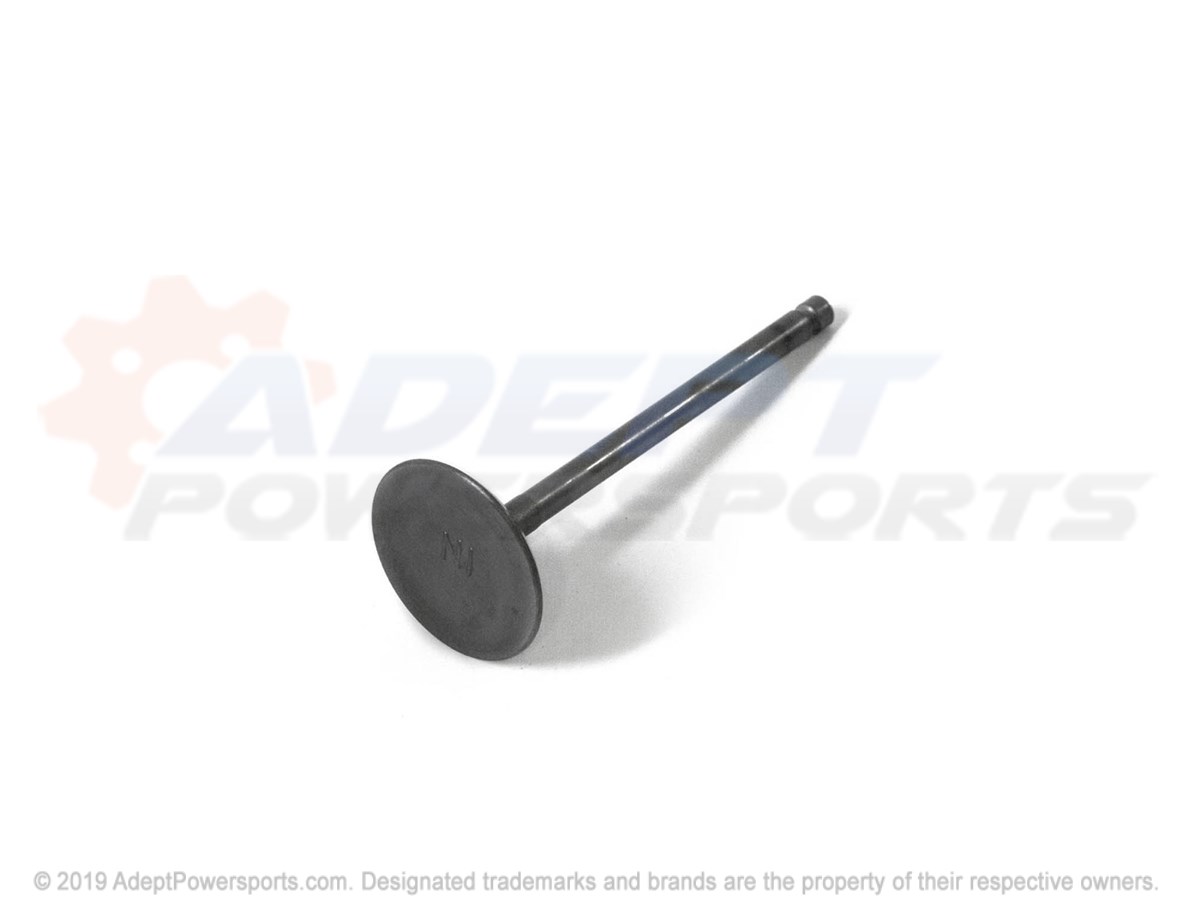 Polaris 3090118 Valve, Intake