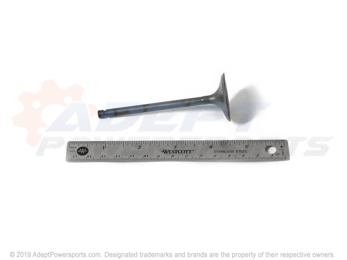 Polaris 3090118 Valve, Intake