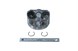 Polaris 3090175 Piston, Set, .50, Os