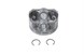 Polaris 3090174 Piston, Set, .25, Os