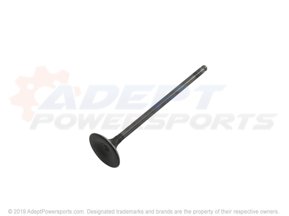 Polaris 3022099 Valve, Intake