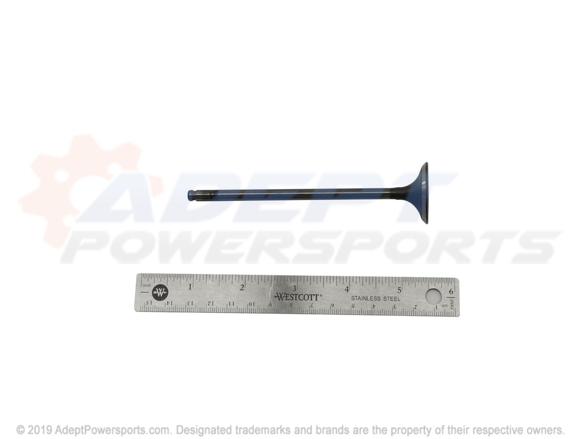 Polaris 3022099 Valve, Intake