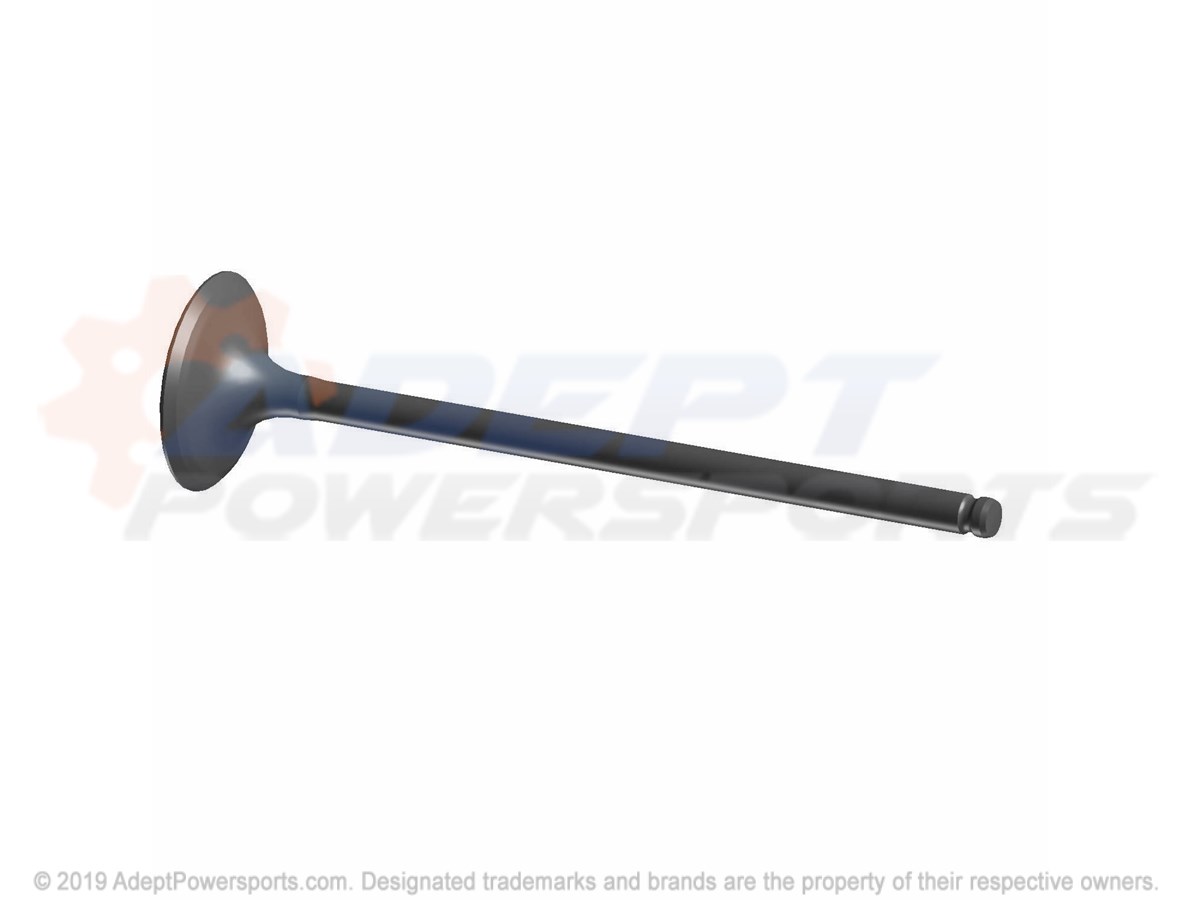 Polaris 3022099 Valve, Intake
