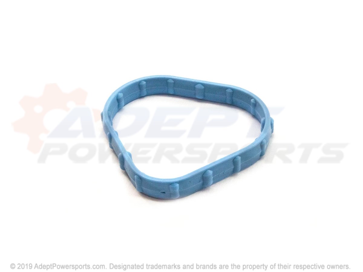 Polaris 5413283 Seal, Intake, Port