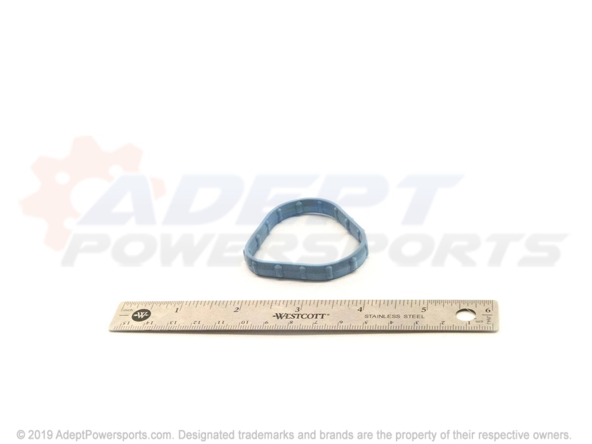 Polaris 5413283 Seal, Intake, Port