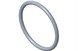 Polaris 5412955 O-Ring