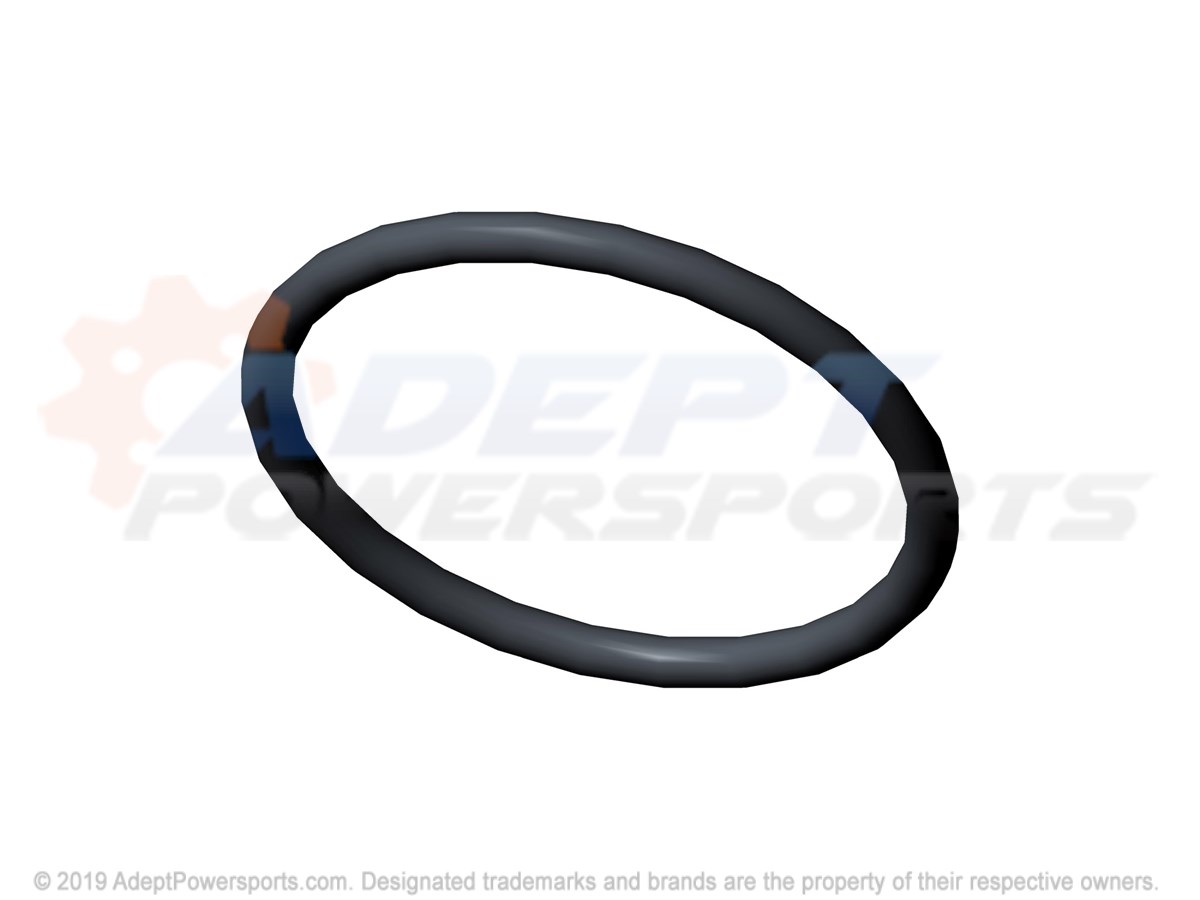 Polaris 5412955 O-Ring
