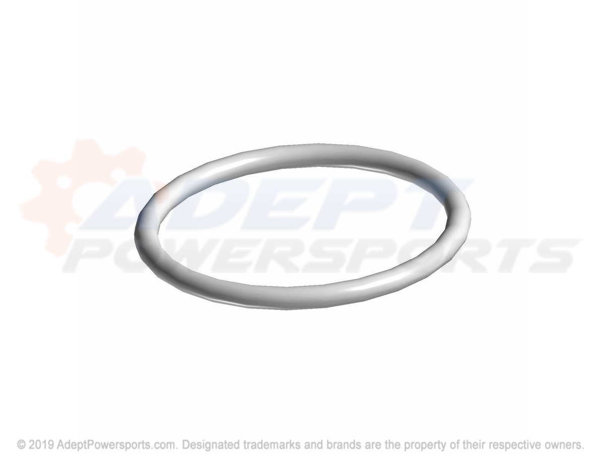 Polaris 5412955 O-Ring