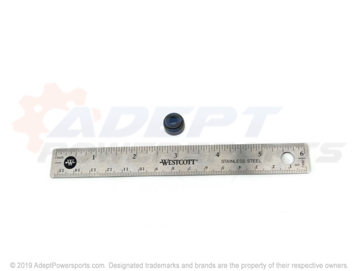 Polaris 3090097 Seal, Intake, Valve