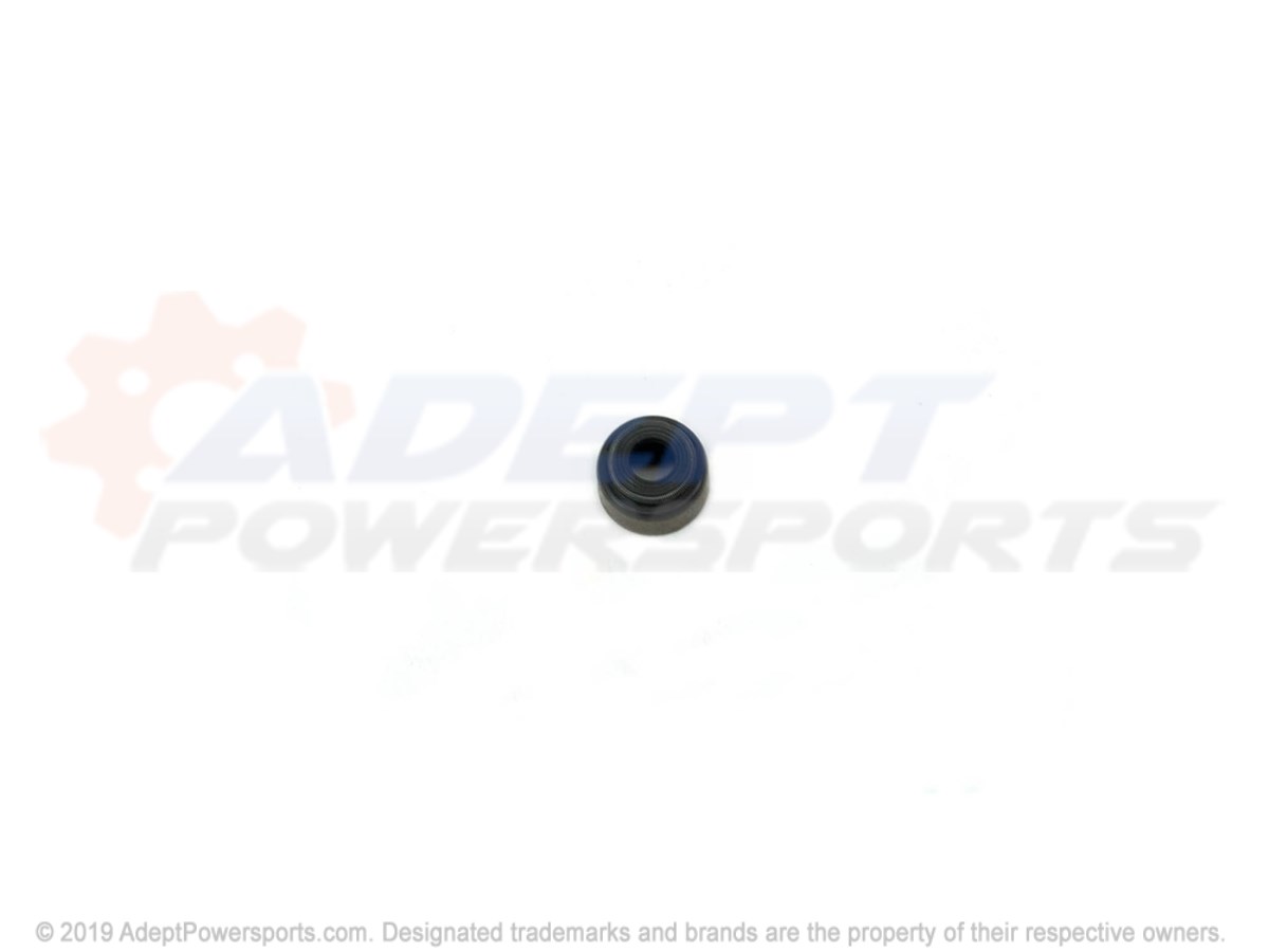 Polaris 3090097 Seal, Intake, Valve