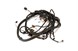Polaris 2411291 Harness, Chassis