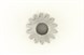 Kawasaki 59051-1252 Gear-Spur, Main, Valve