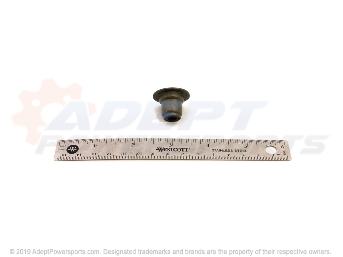 Polaris 5413747 Seal-Valve Dt800/700