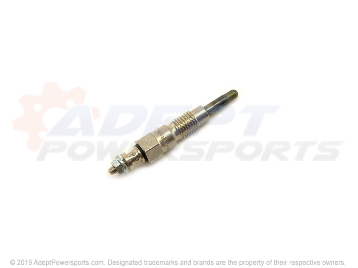 Polaris 3070081 Plug Glow