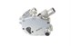 Polaris 3070132 Pump Assembly Water
