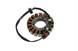 Polaris 4013013 Stator-650W