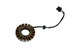Polaris 4013013 Stator-650W