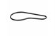 Polaris 5414000 Gasket-Waterpump Cover